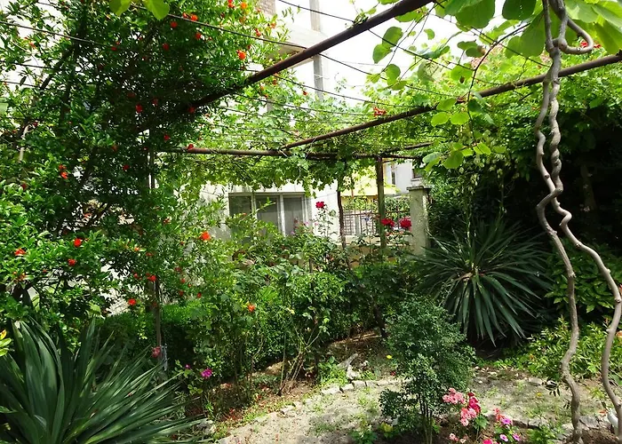 Hris 3* Chernomorets