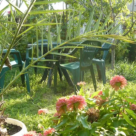 Hris Guest house